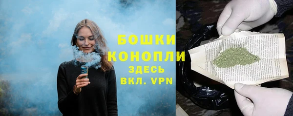 эйфоретик Заводоуковск