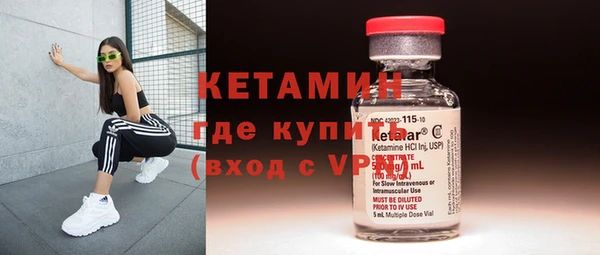 мдпв Ельня