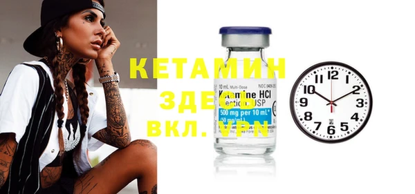 мдпв Ельня
