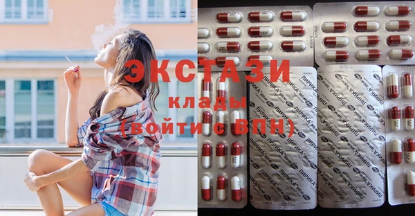 мдпв Ельня