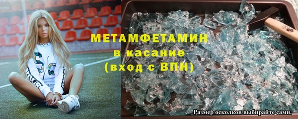 мдпв Ельня