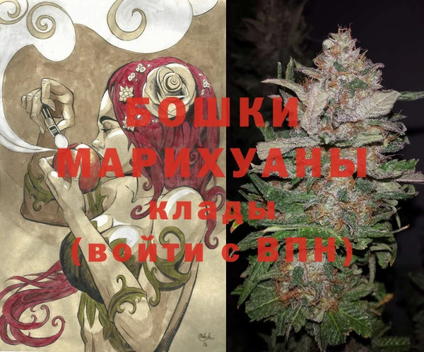 спиды Елизово