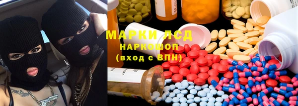 мдпв Ельня