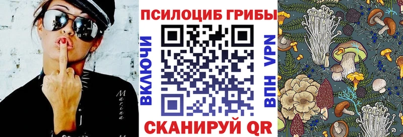 Купить закладки  Мантурово  Псилоцибиновые грибы MAGIC MUSHROOMS 